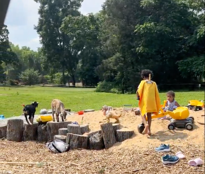 Coop & Creek Sandpit
